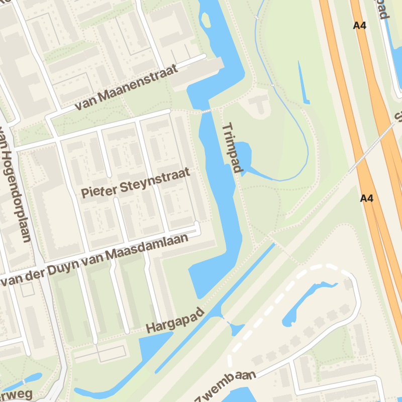 Johan de Wittstraat 246
