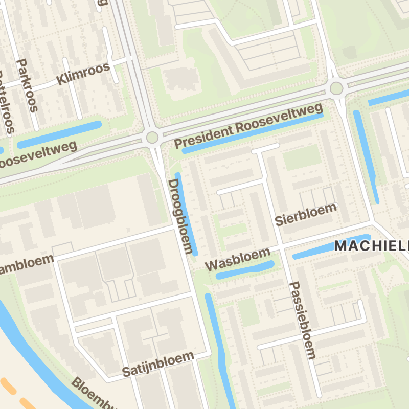 Heiligenbloem 11