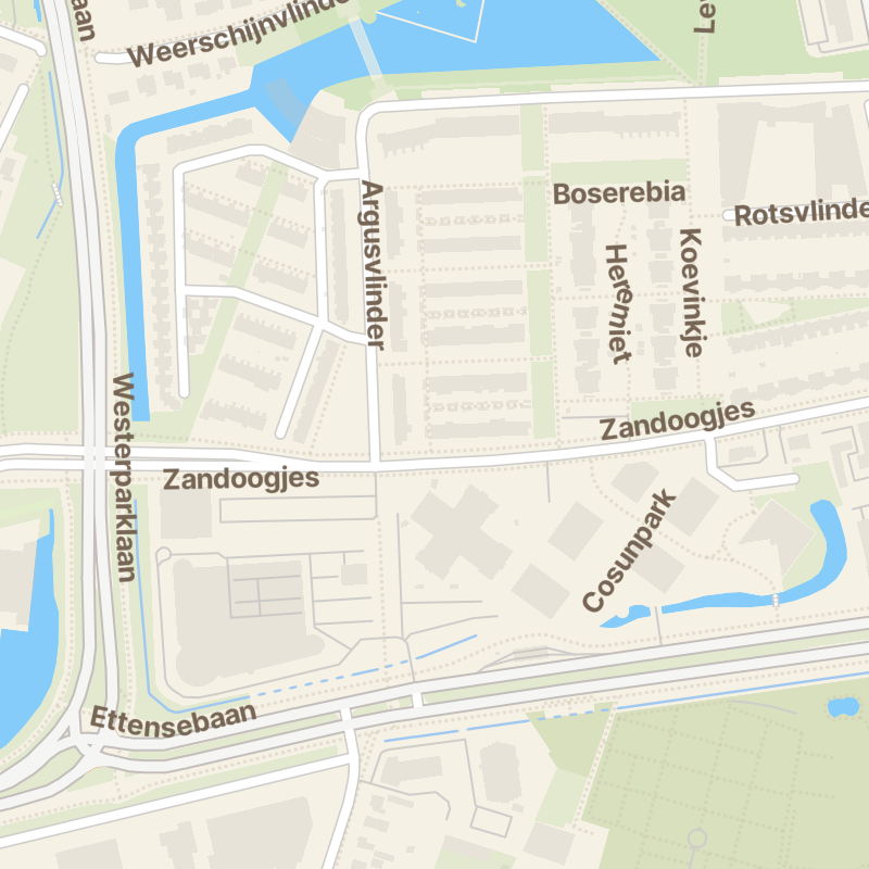 Zandoogjes 54