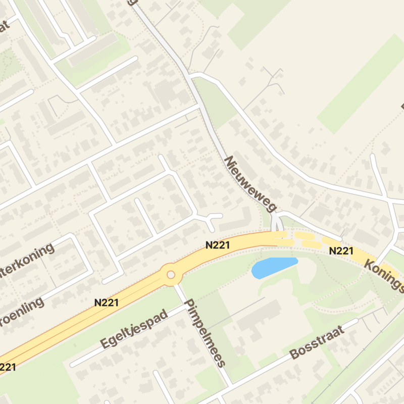 Goudvink 13