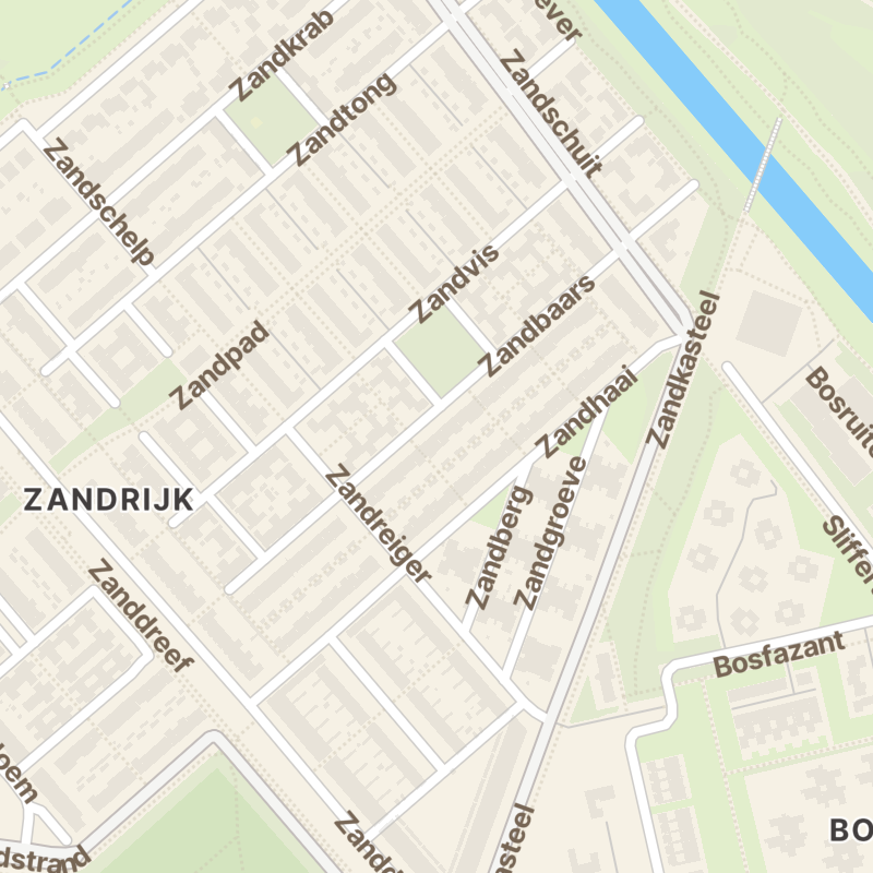 Zandbaars 43
