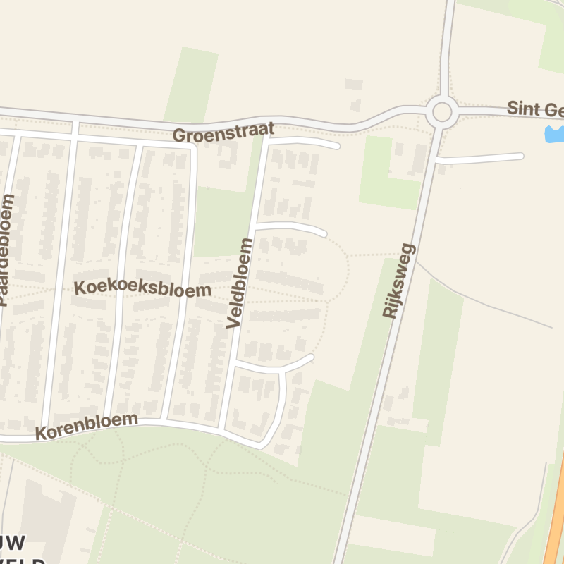 Koekoeksbloem 75