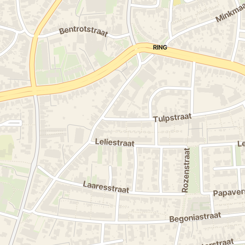 Tulpstraat 10