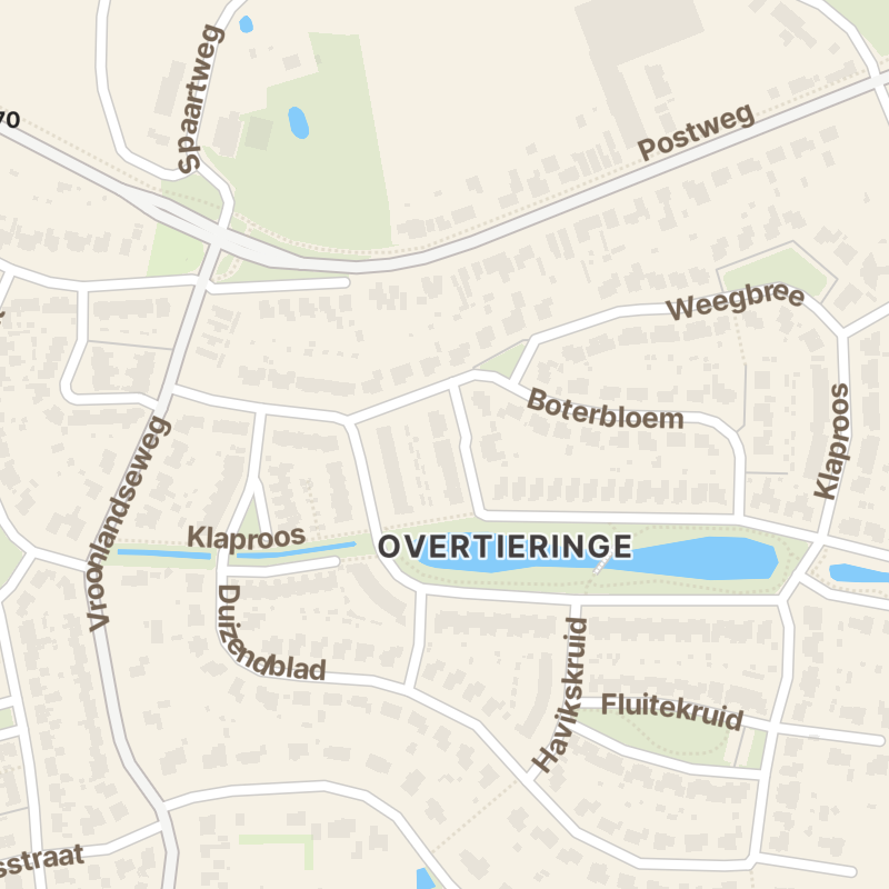 Korenbloem 6