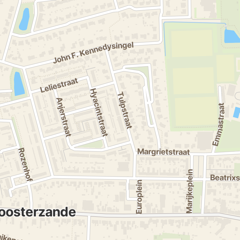 Tulpstraat 20
