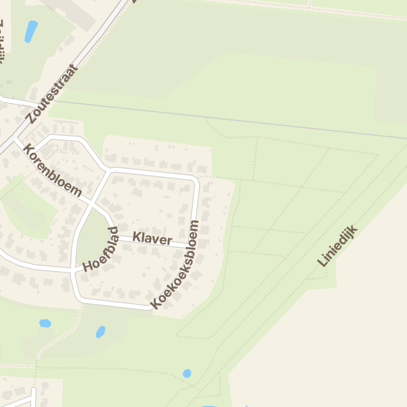 Koekoeksbloem 18