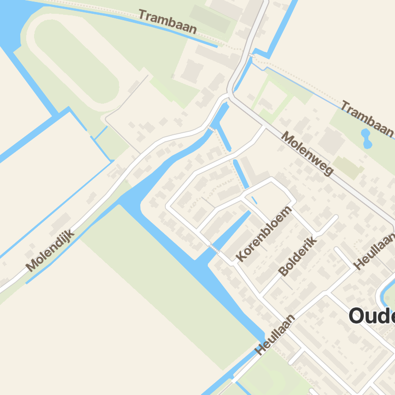 Korenbloem 84