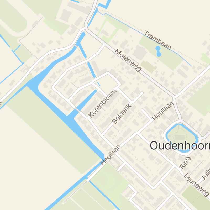 Korenbloem 12
