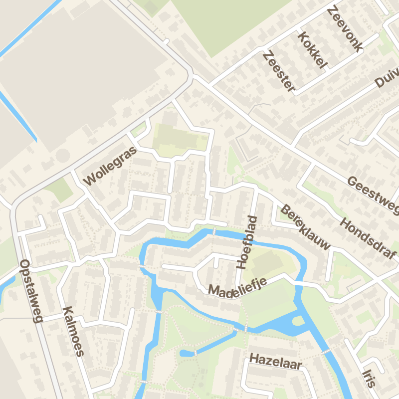 Boterbloem 9