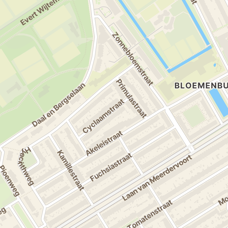 Cyclaamstraat 12
