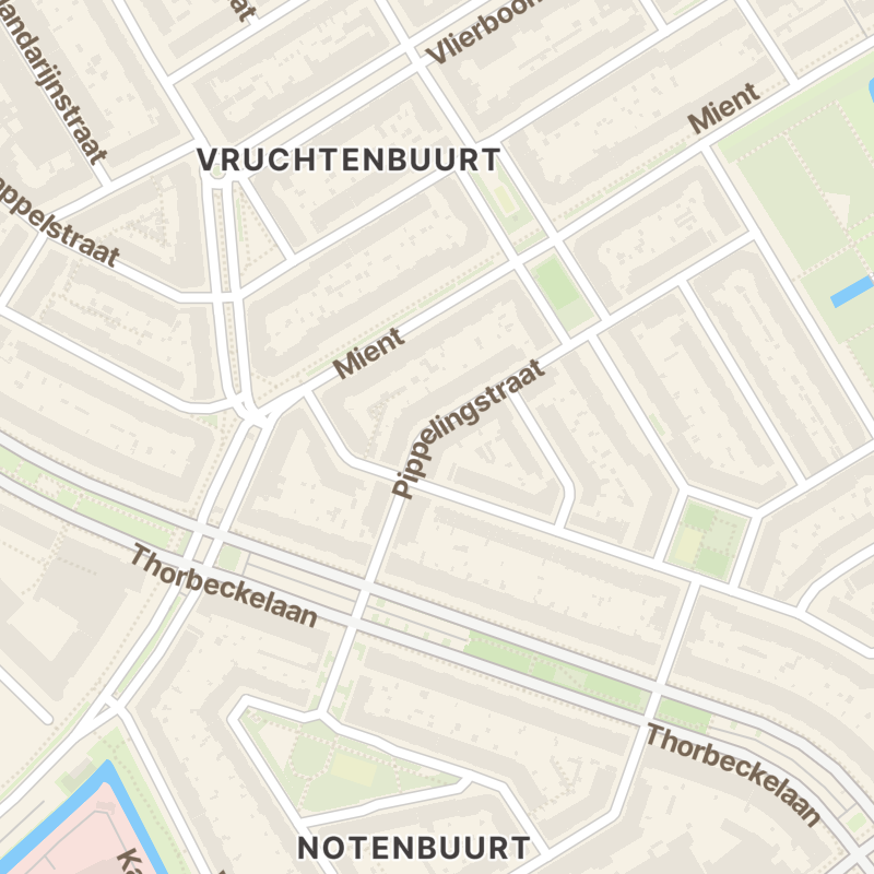 Pippelingstraat 104