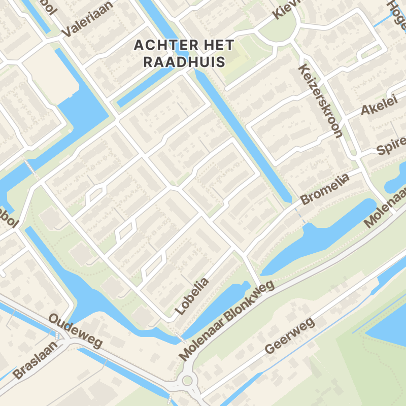 Gentiaan 43
