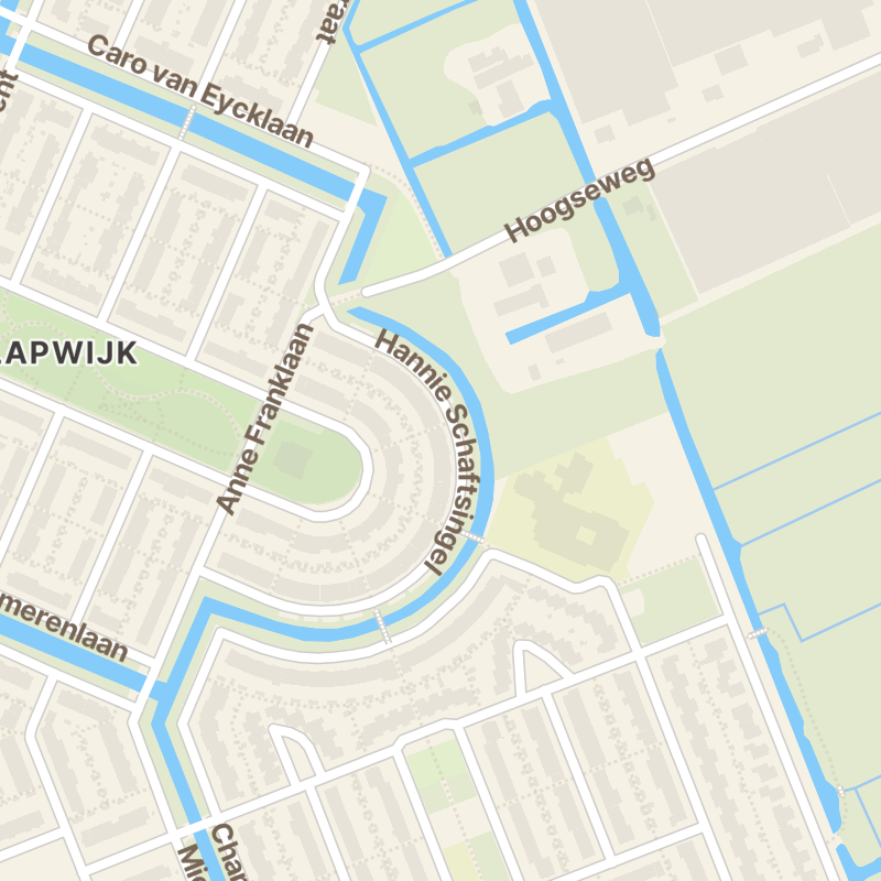 Hannie Schaftsingel 42