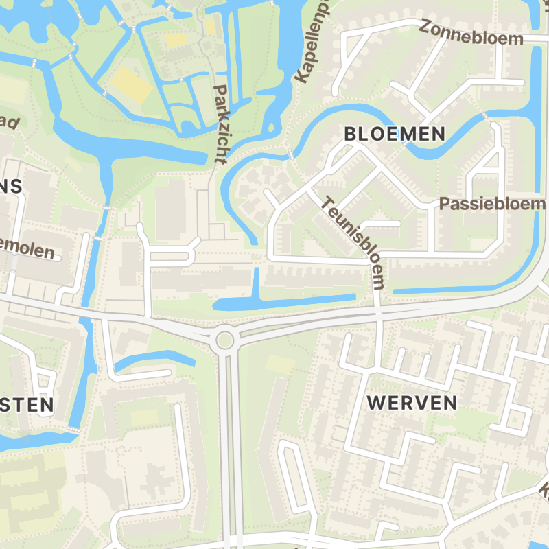Akkerhoornbloem 2