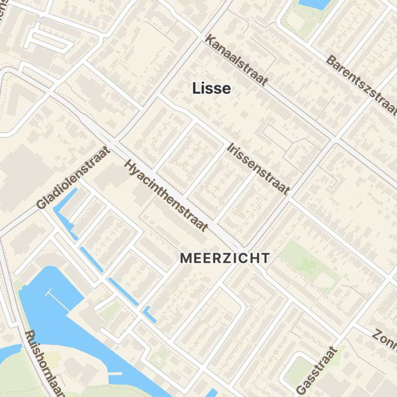 Hyacinthenstraat 25