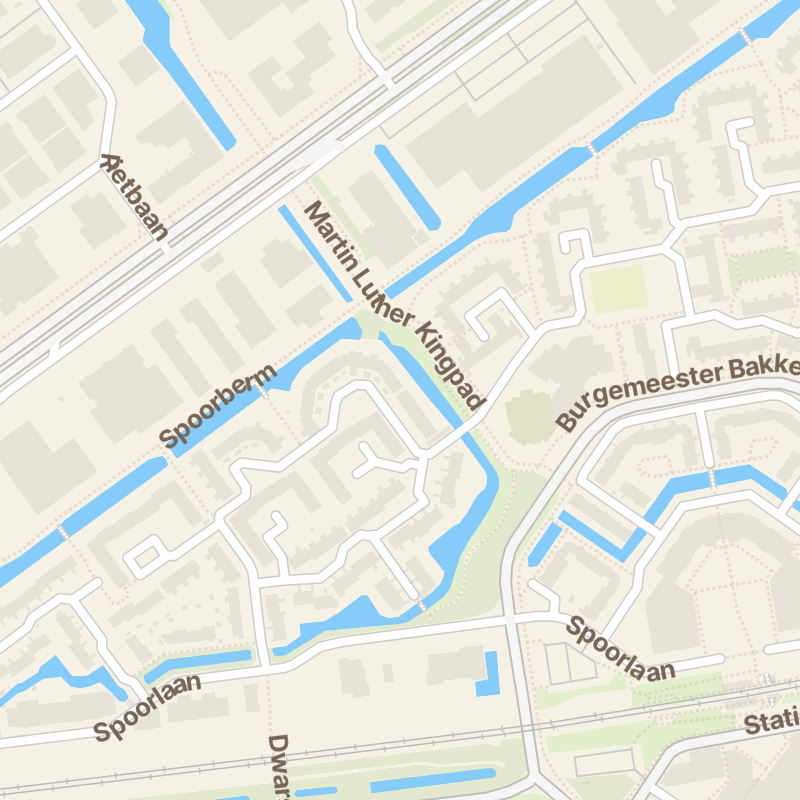 Ringspoor 117