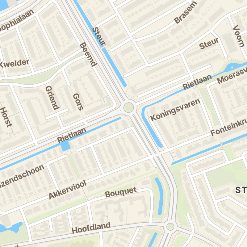 Boterbloem 2
