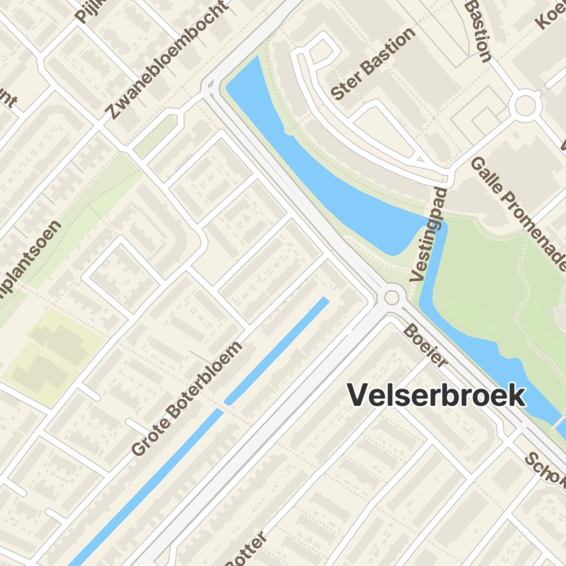 Grote Boterbloem 10