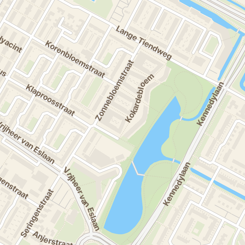Kokardebloem 48