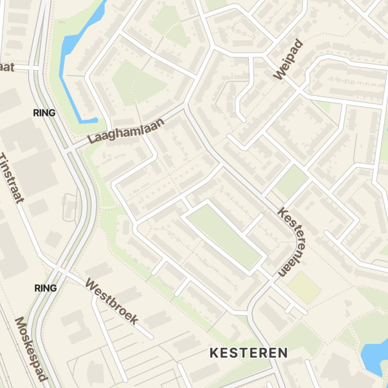 Pieternel Koomansstraat 80