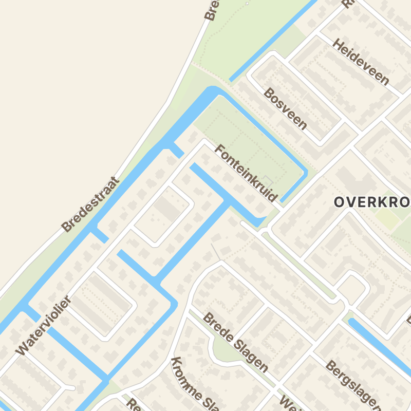 Dotterbloem 16