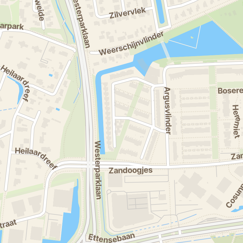 Blauwoogvlinder 47
