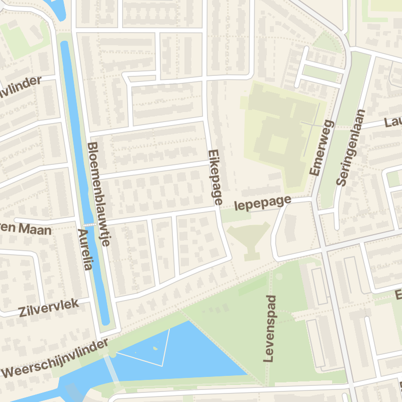 Klaverblauwtje 2