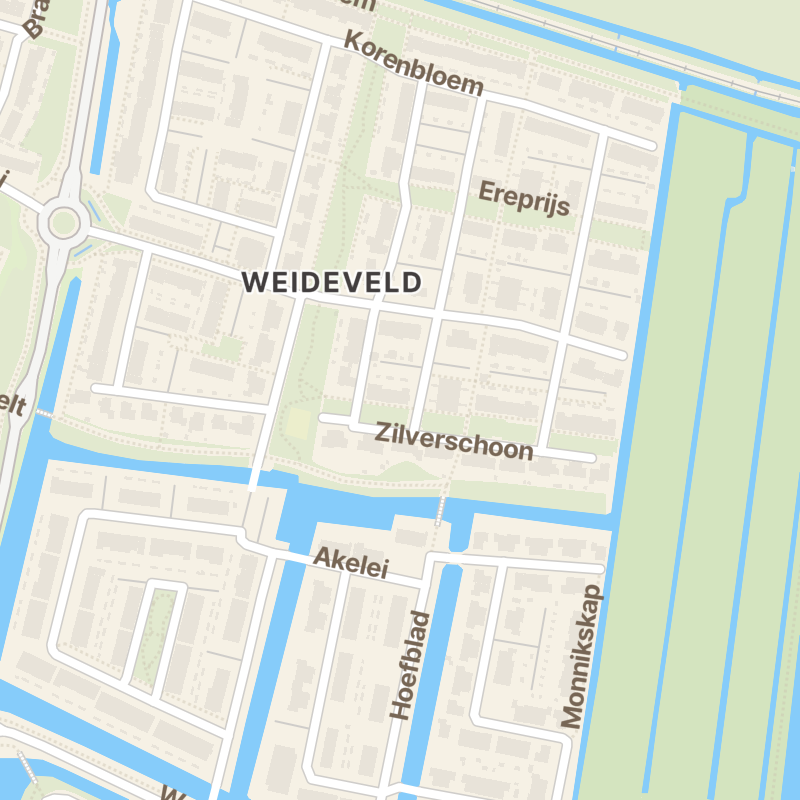 Zilverschoon 10
