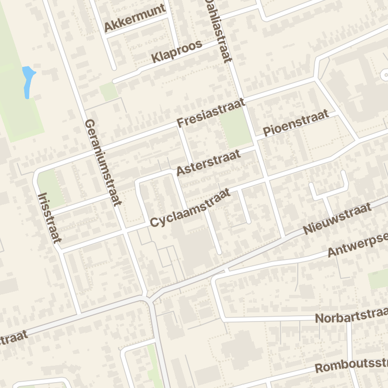 Cyclaamstraat 28