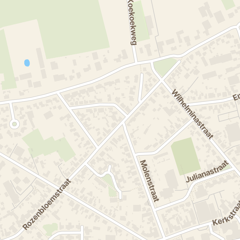 Rozenbloemstraat 43