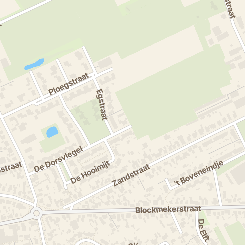 De Dorsvlegel 21