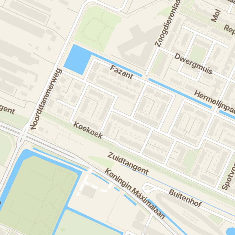 Knobbelzwaan 117