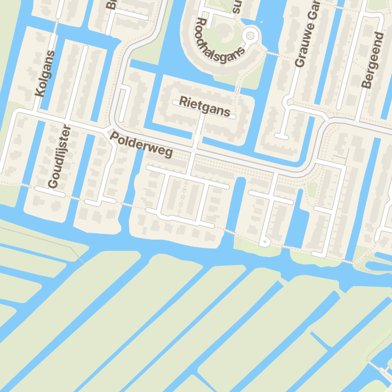Bruine Lijster 27