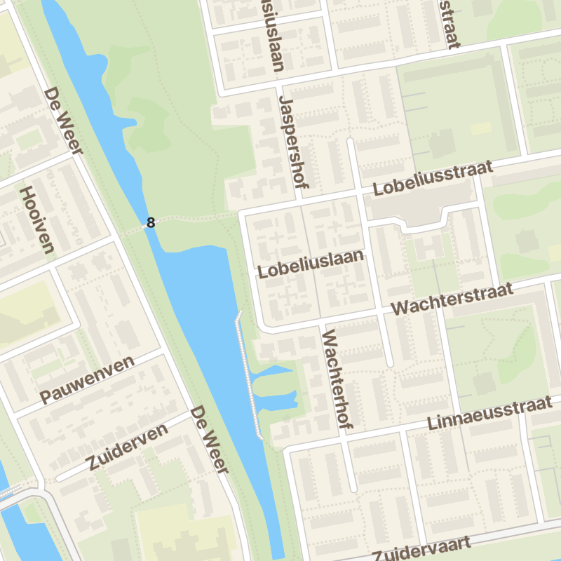 Lobeliuslaan 312