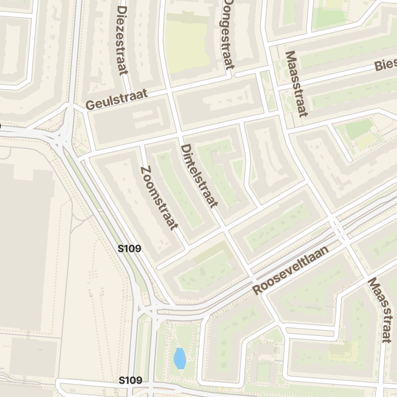 Dintelstraat 98-3