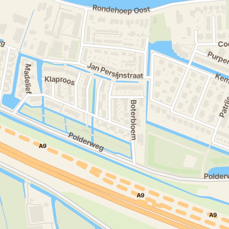 Boterbloem 40