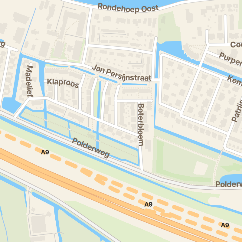Boterbloem 42