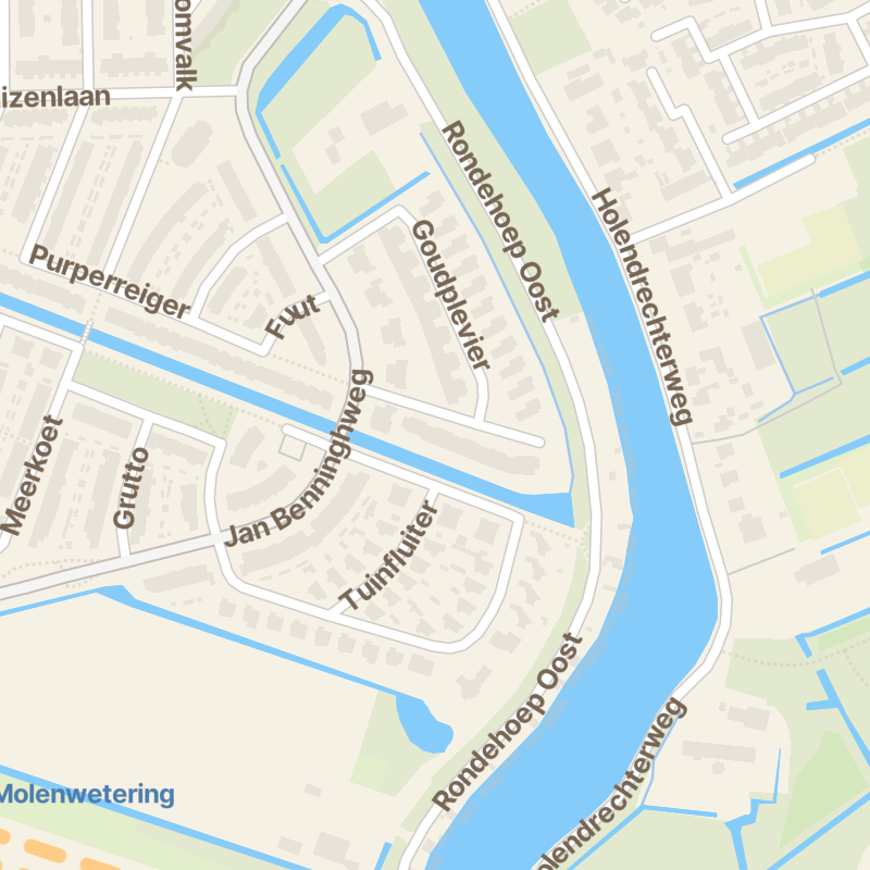 Goudplevier 39