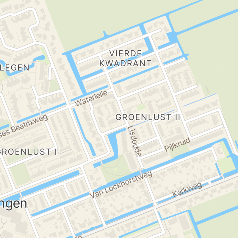 Zwanebloem 15