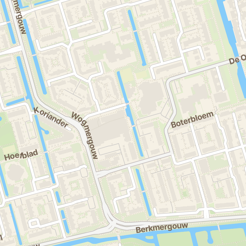 Korenbloem 60
