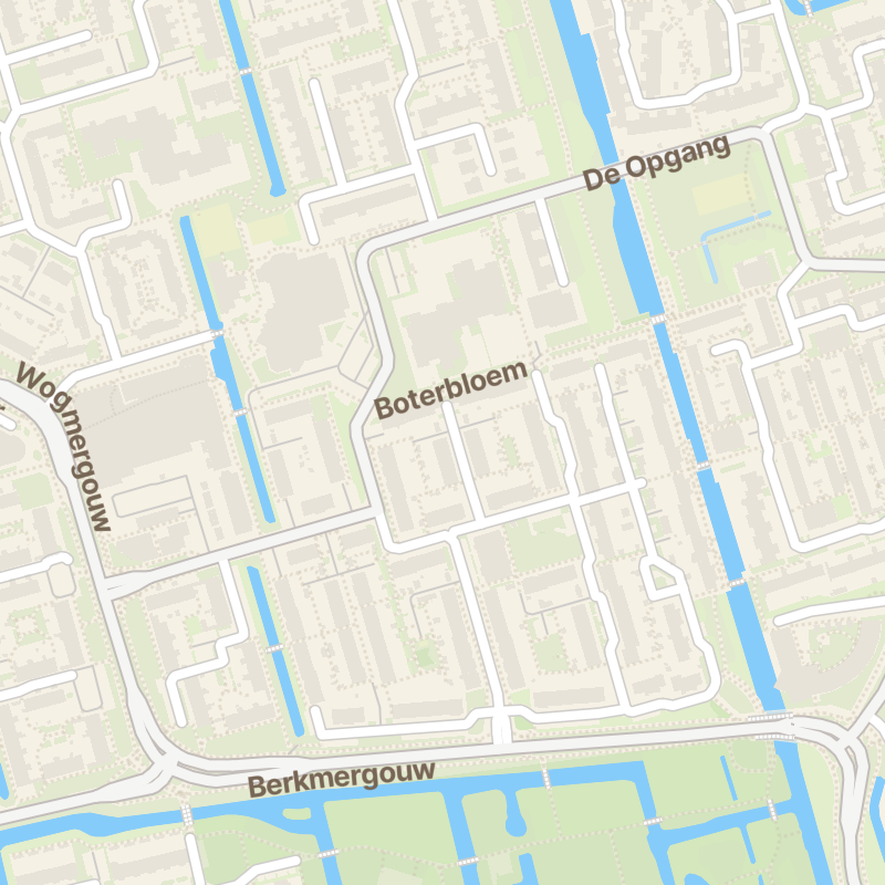 Boterbloem 100