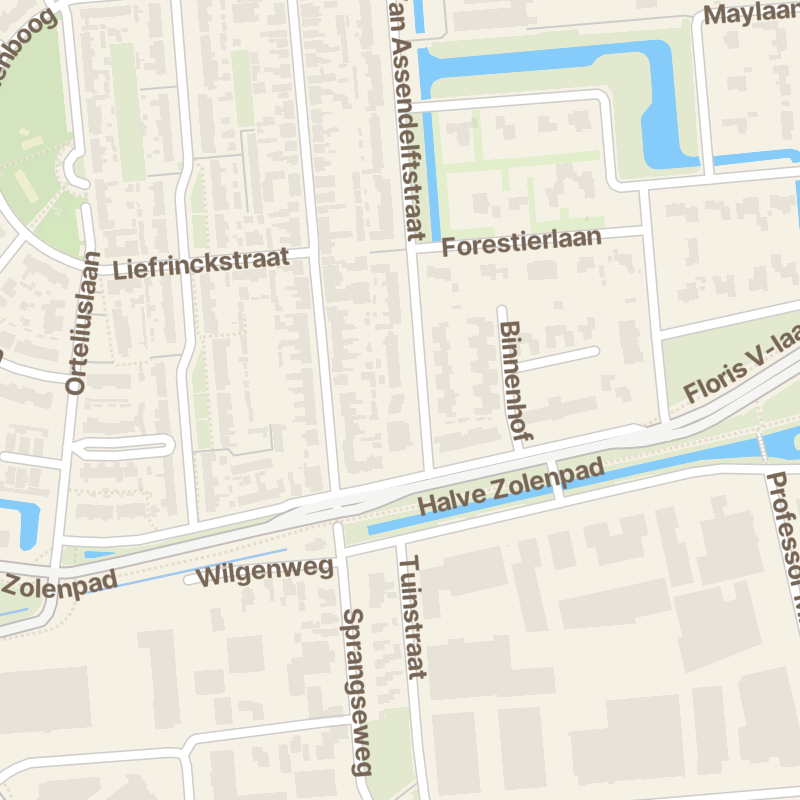 van Assendelftstraat 110