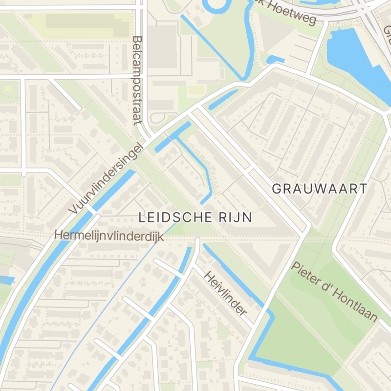 Kolibrievlinder 14