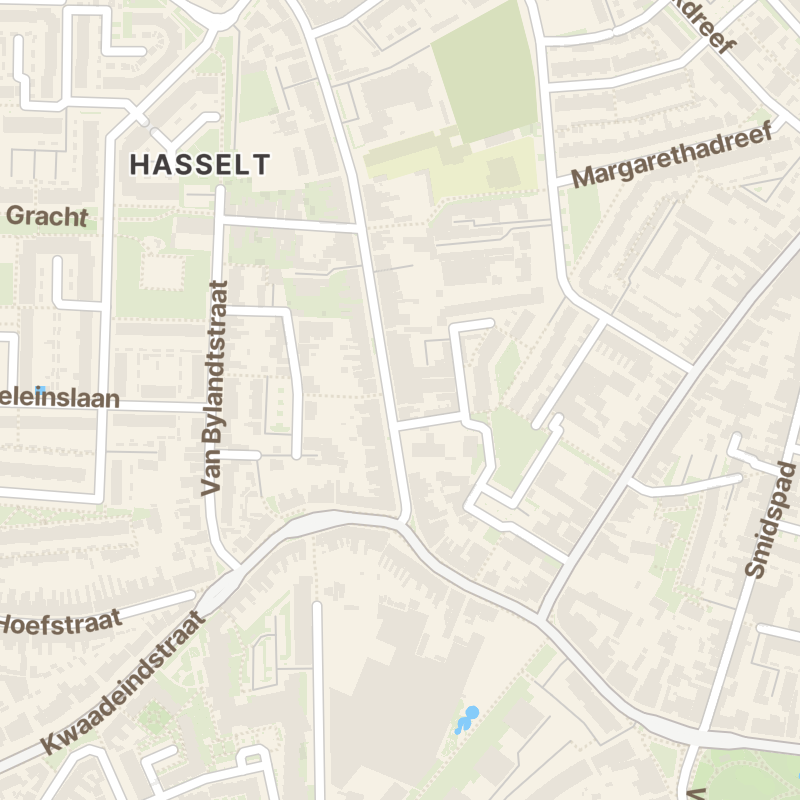 Hasseltstraat 246