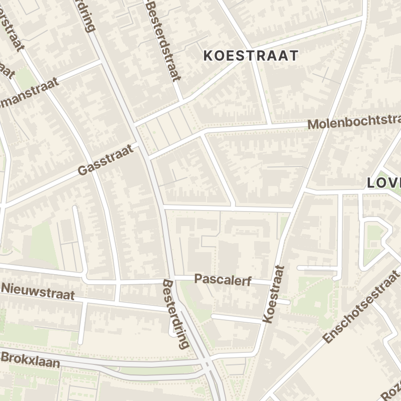 Leonard van Vechelstraat 37