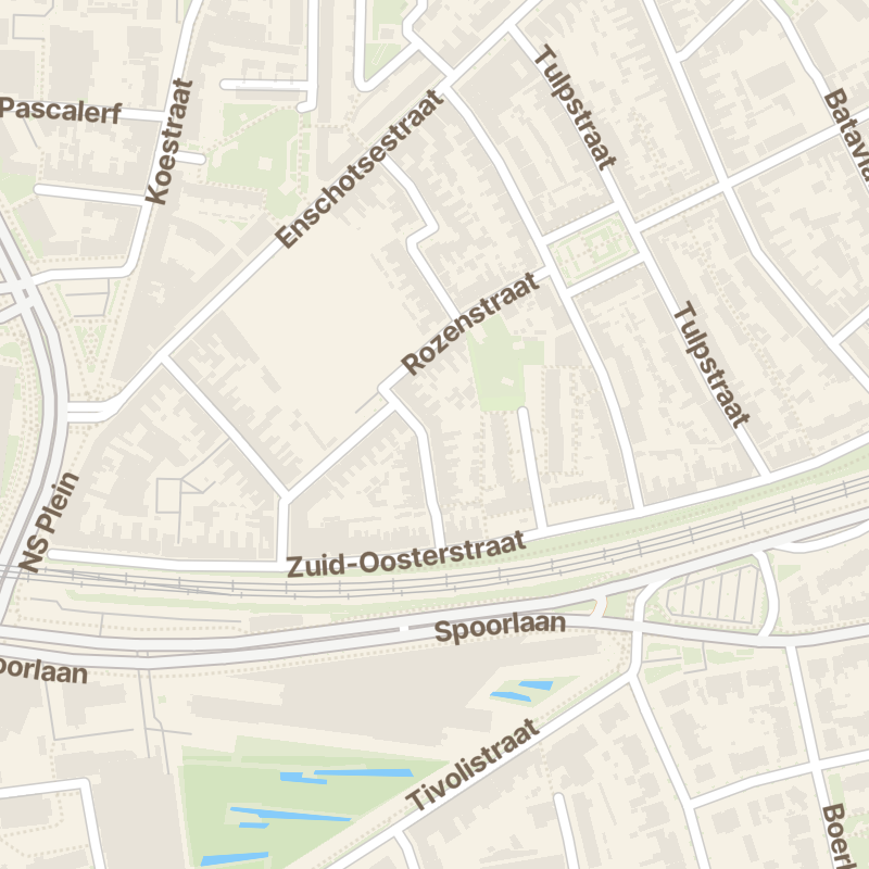Jasmijnstraat 12