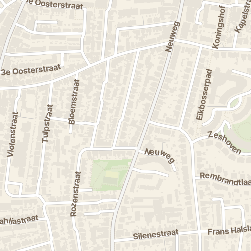 Chrysantenstraat 47