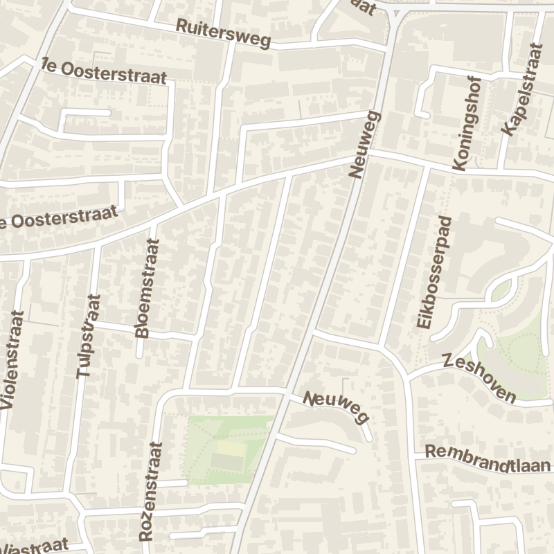 Chrysantenstraat 25