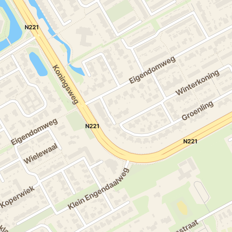 Winterkoning 112