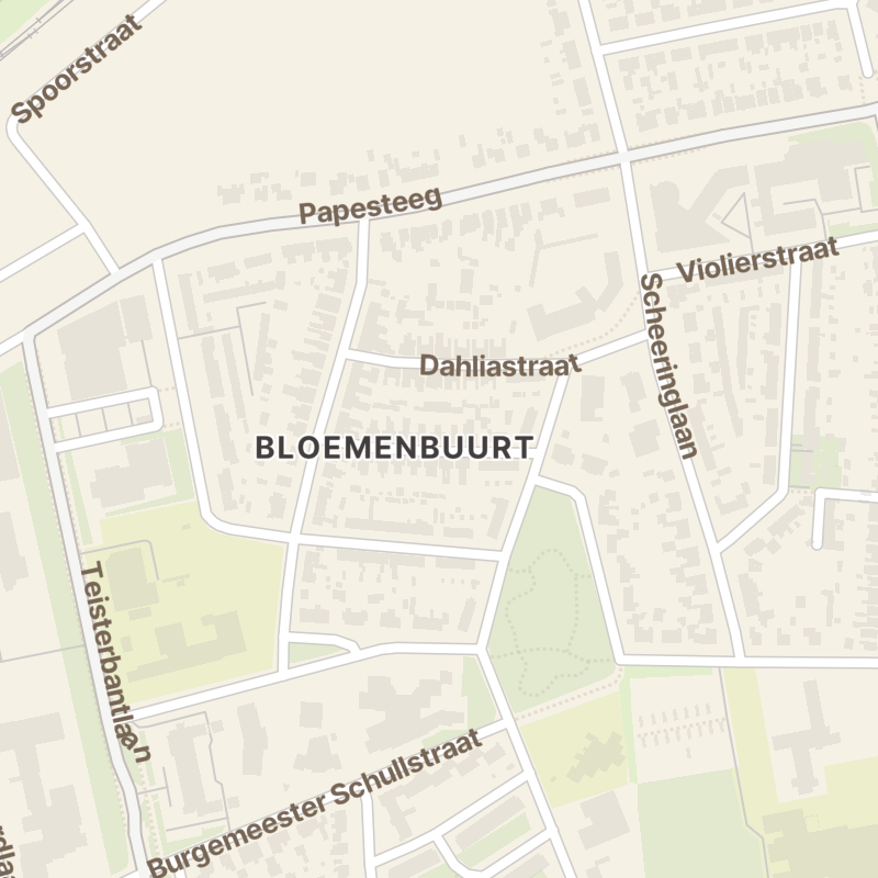 Tulpstraat 19
